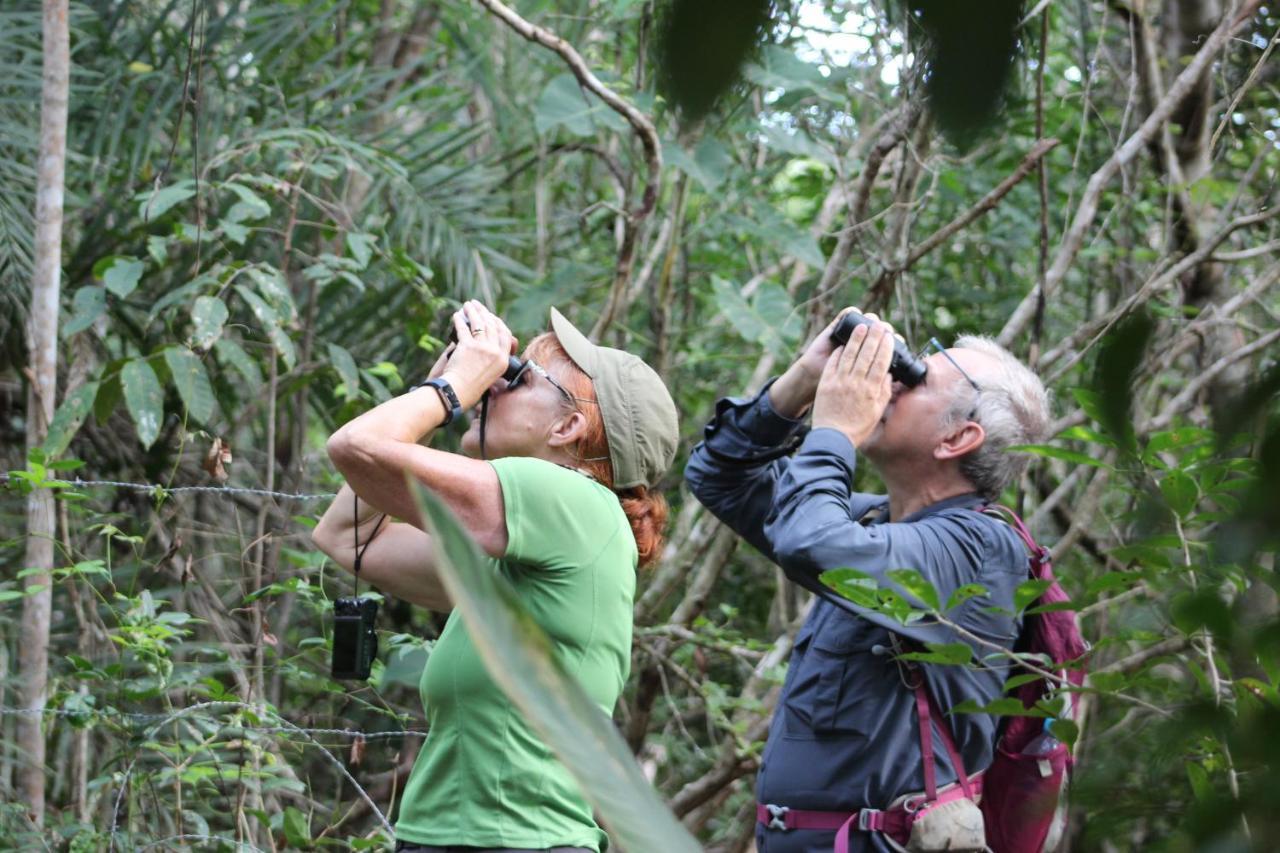 Arua Observacao De Vida Silvestre ปรายาโดฟอร์ชิ ภายนอก รูปภาพ