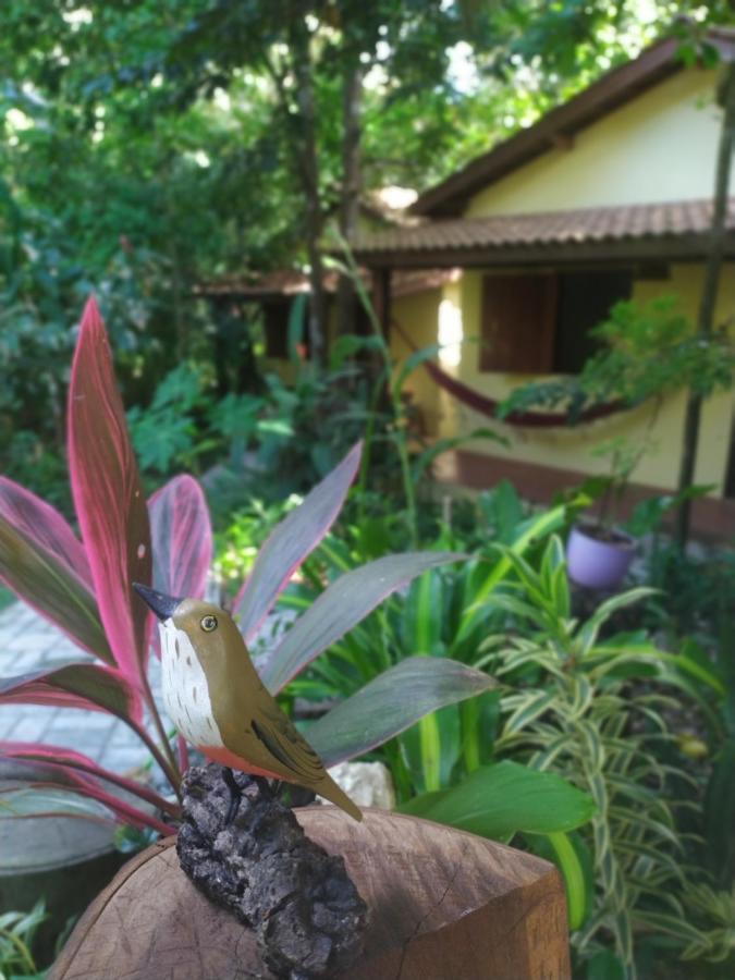 Arua Observacao De Vida Silvestre ปรายาโดฟอร์ชิ ภายนอก รูปภาพ