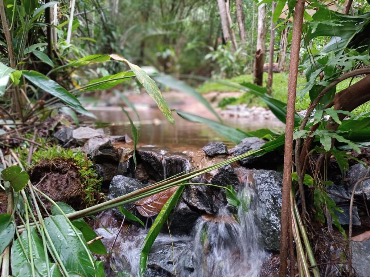 Arua Observacao De Vida Silvestre ปรายาโดฟอร์ชิ ภายนอก รูปภาพ